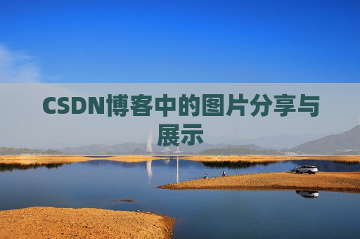 CSDN博客中的图片分享与展示
